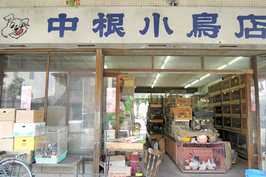 C205(旧・中根小鳥屋)