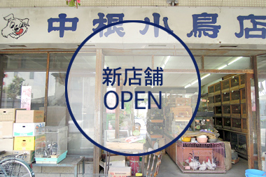 C205(旧・中根小鳥屋)