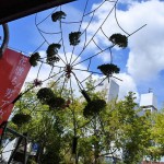 sebone2016 sebone2016