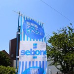 sebone2016 sebone2016